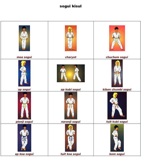 Conceptos básicos de Taekwondo