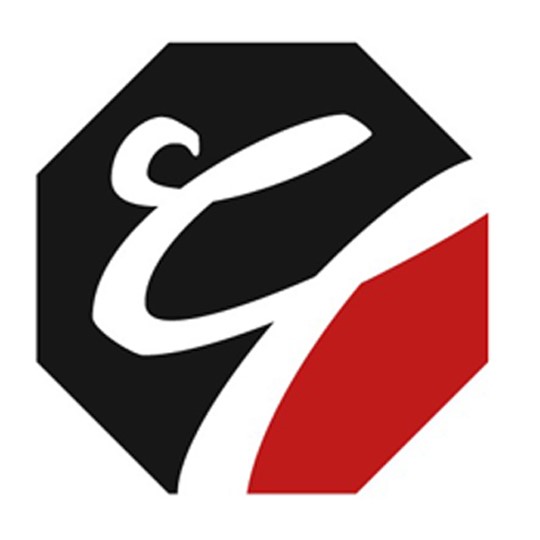 Logo Taekwondo